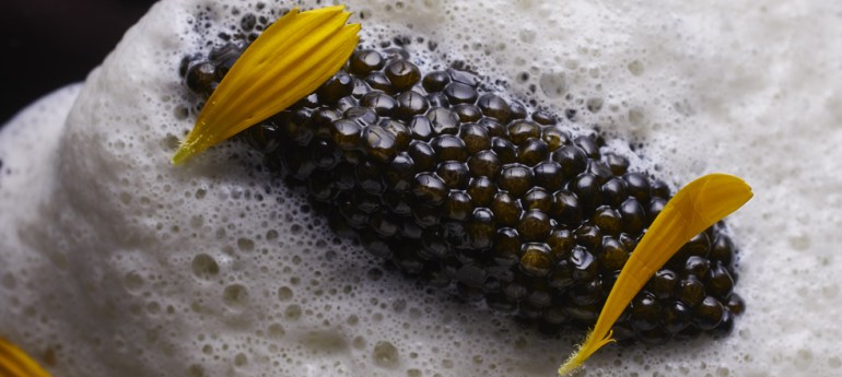 cover-poisson-le-cinq-paris