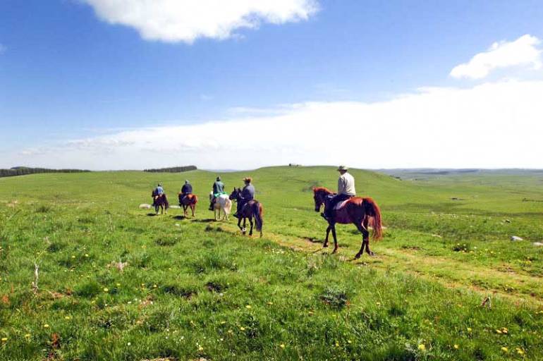 centre-equestre-nasbinals-aubrac